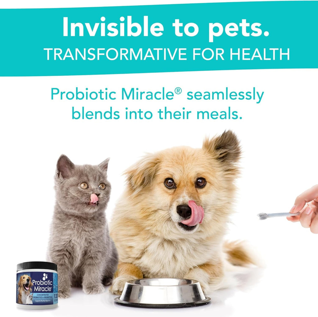Dog Probiotic Powder - Digestive & Immune Support
