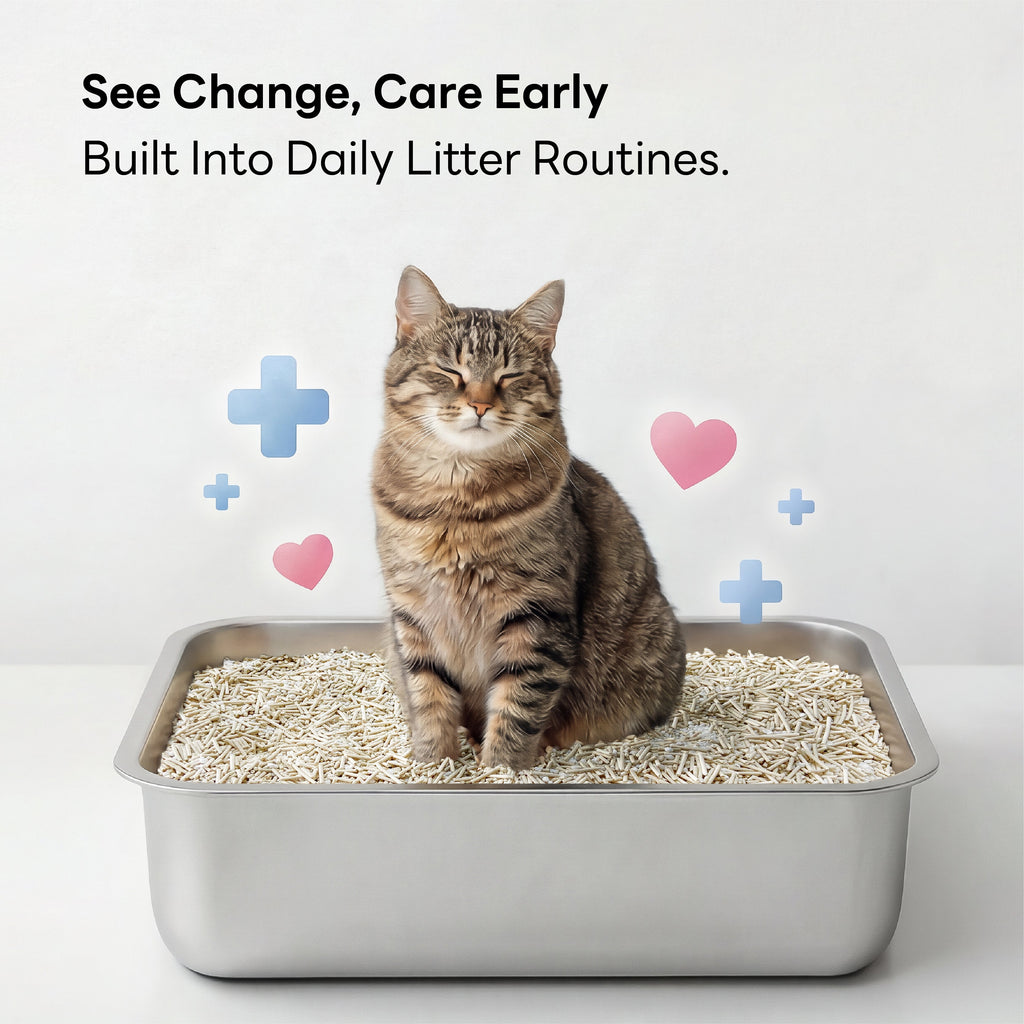 Health Monitoring Cat Litter