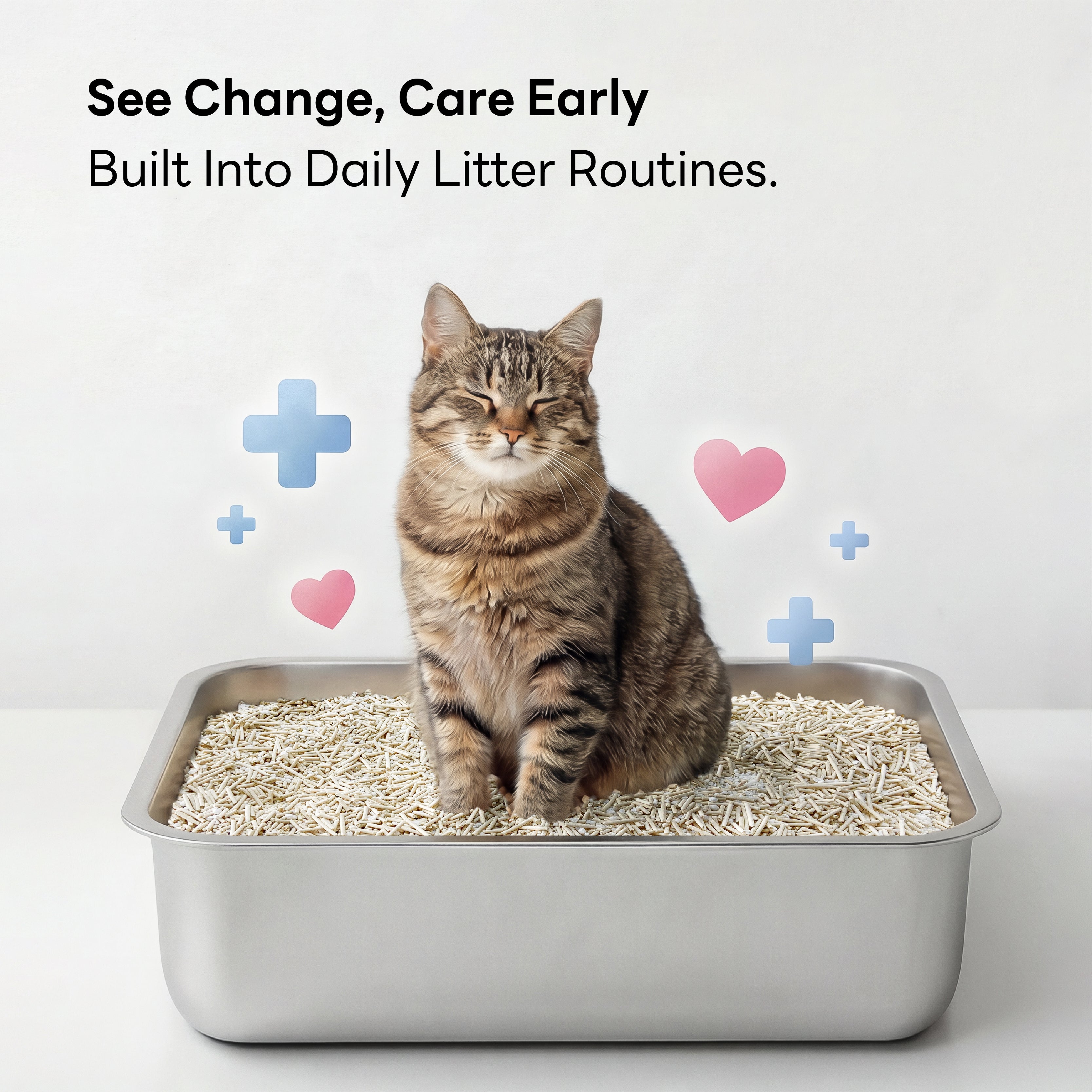 Health Monitoring Cat Litter
