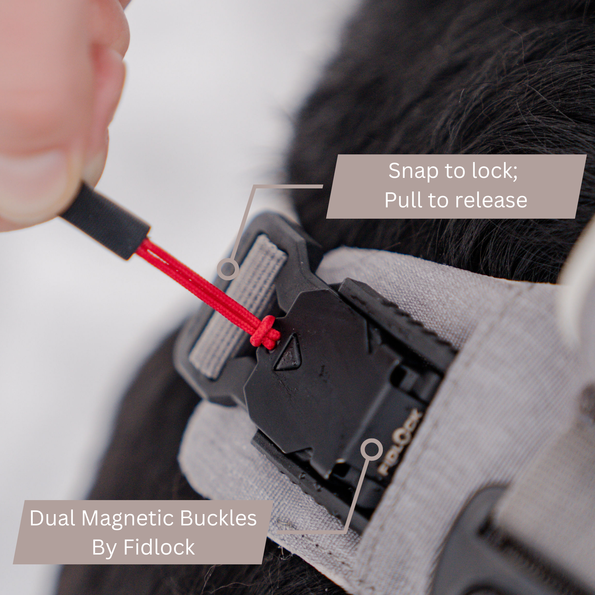 Magnetic Dog Harness No-Pull Design
