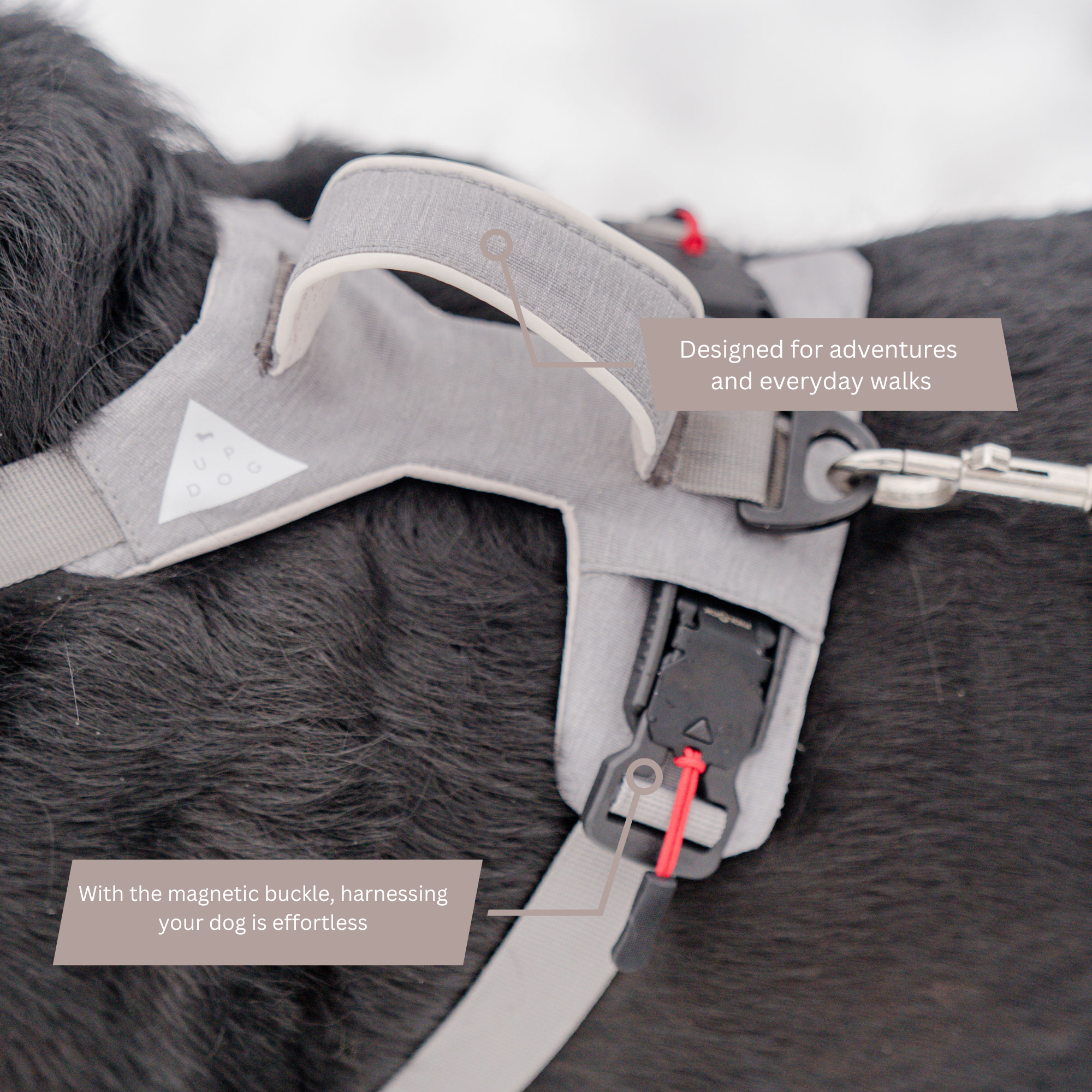Magnetic Dog Harness No-Pull Design