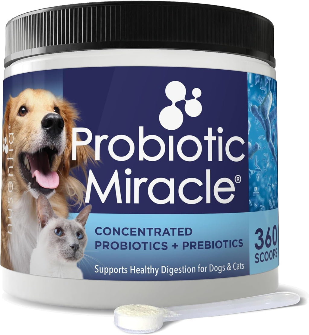 Dog Probiotic Powder - Digestive & Immune Support