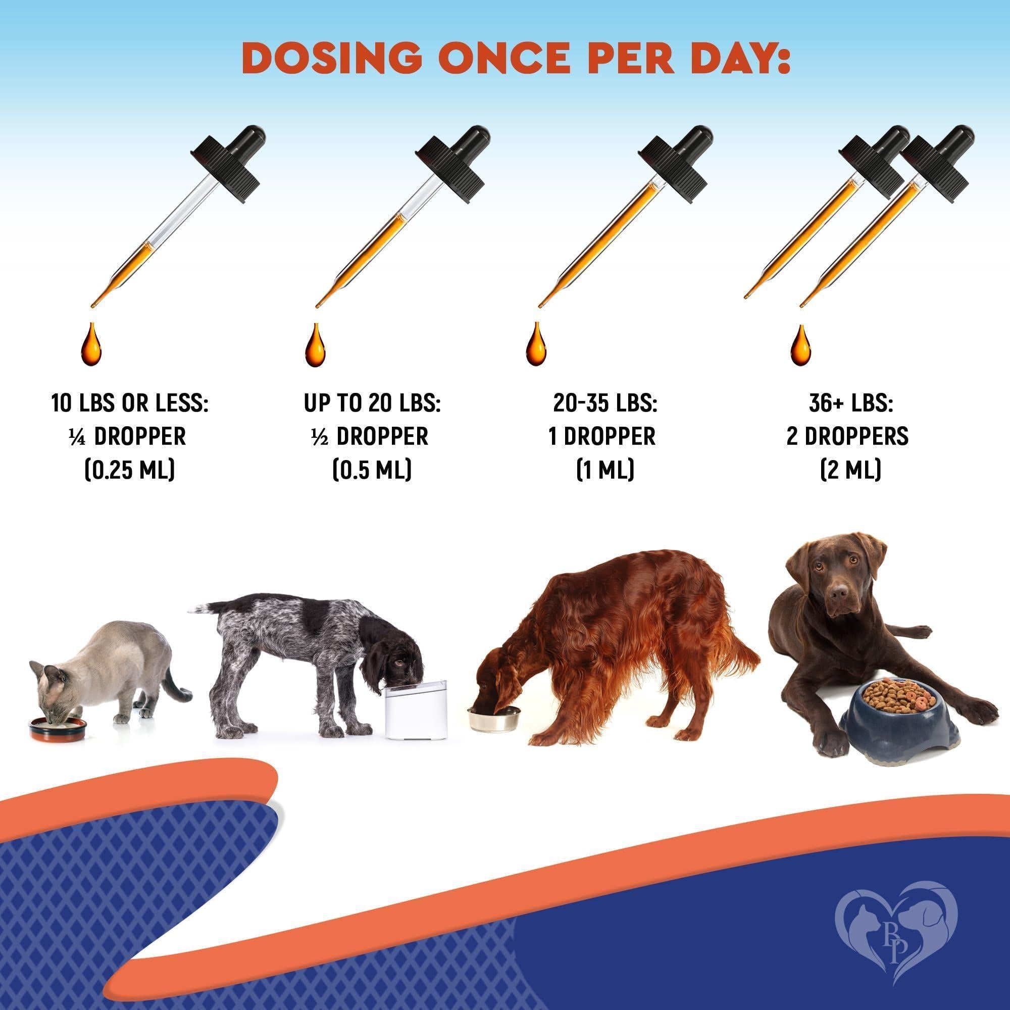 Liquid Probiotics & Prebiotics for Dogs & Cats