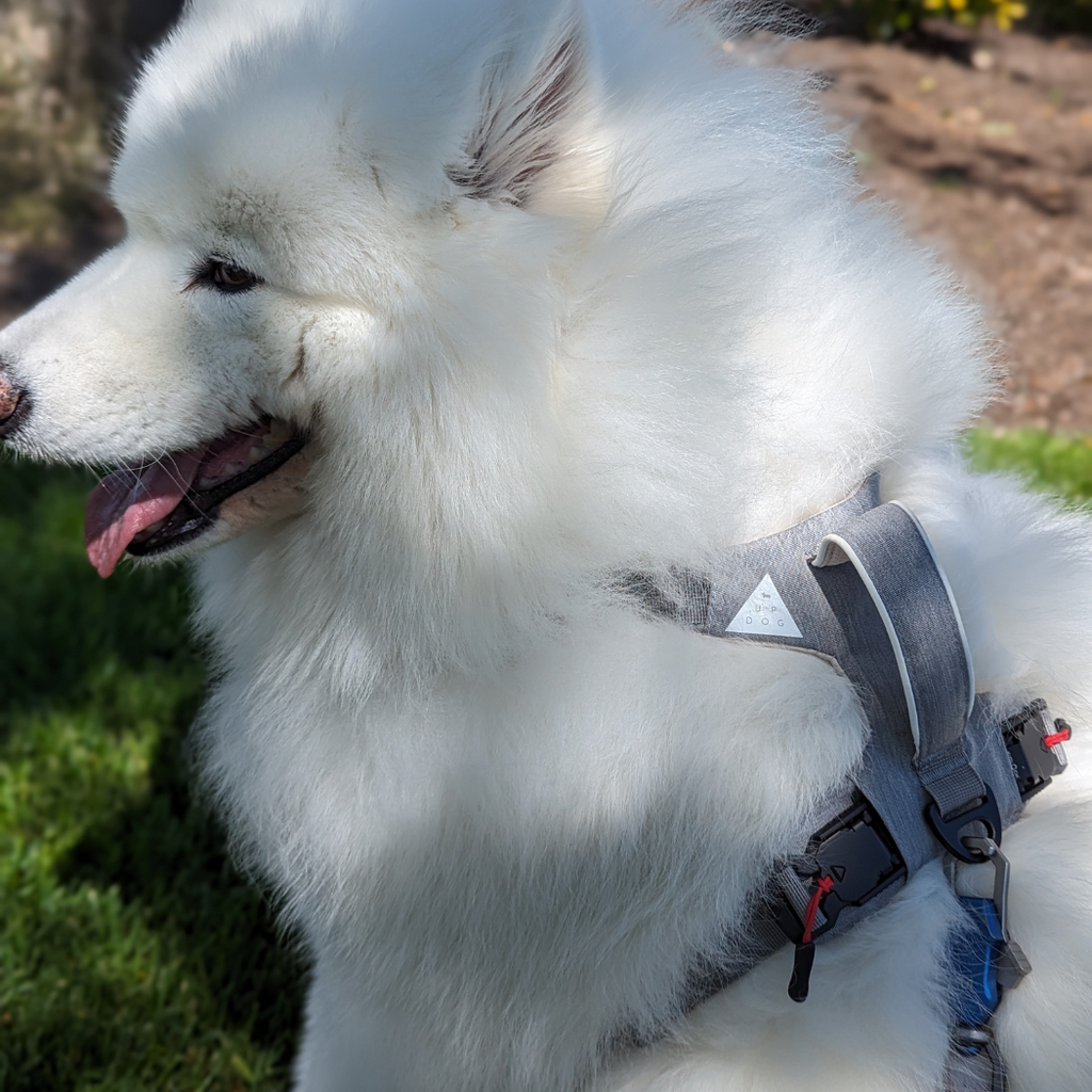 Magnetic Dog Harness No-Pull Design