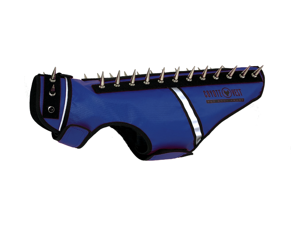 SpikeVest spiked coyote protection vest in royal blue, alternate view