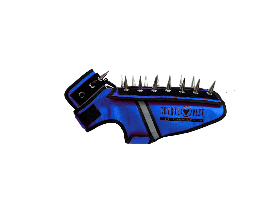 SpikeVest spiked protection vest in royal blue, XXS mini size