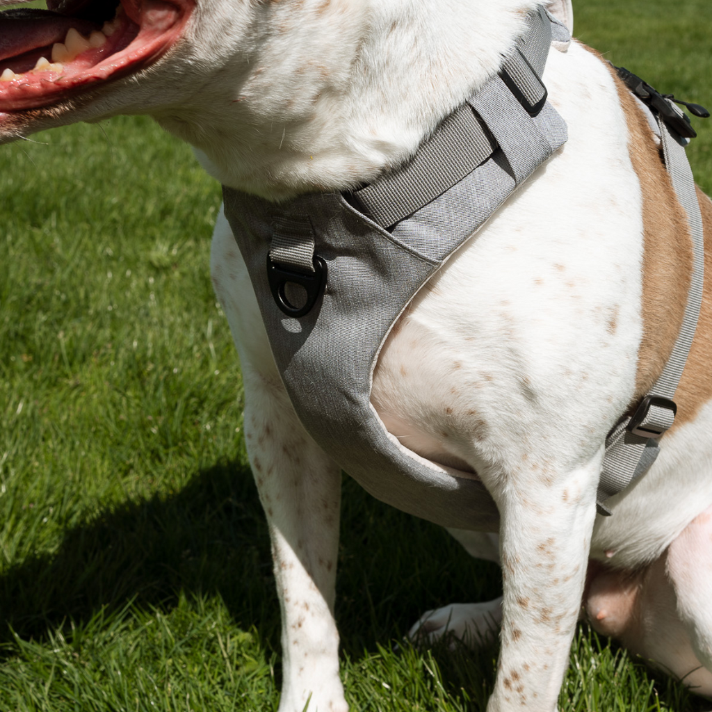 Magnetic Dog Harness No-Pull Design
