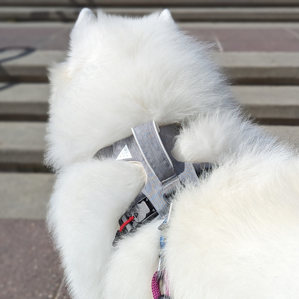 Magnetic Dog Harness No-Pull Design