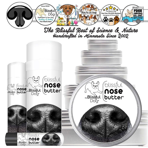Dog Nose Butter tins and tubes in every size from The Blissful Dog