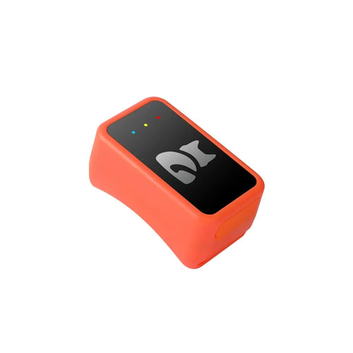 4G GPS Precision Positioning For Pets