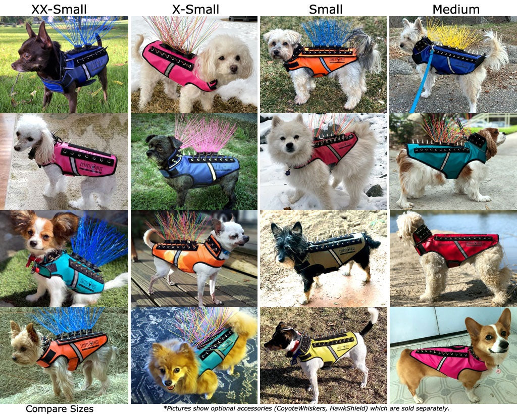 Compare SpikeVest sizes: dogs wearing XXS to Medium protective vests side by side