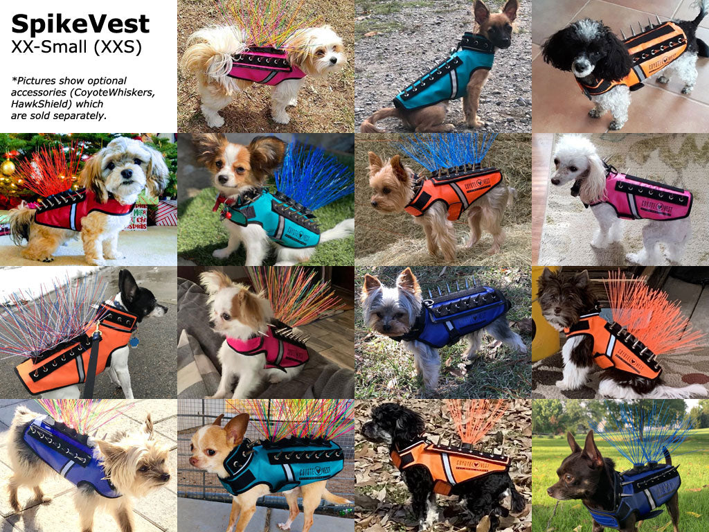 Small dogs wearing XXS SpikeVest protective vests, size examples