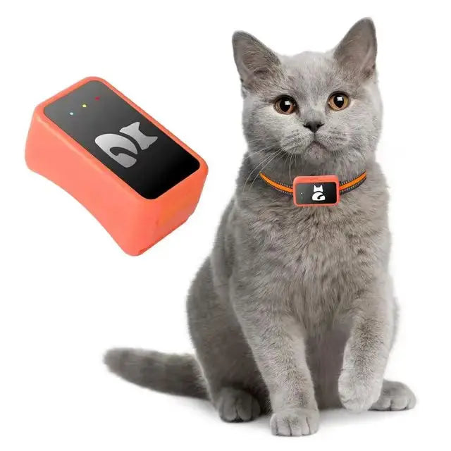 4G GPS Precision Positioning For Pets