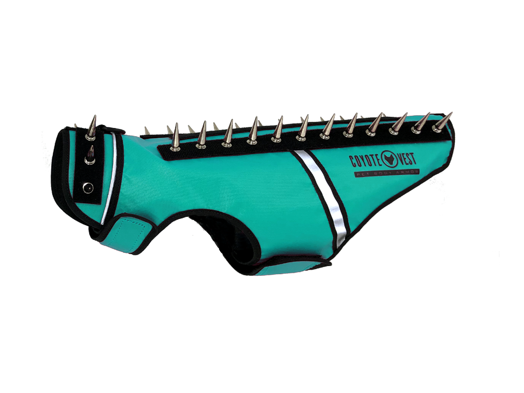 SpikeVest spiked coyote protection vest in turquoise, alternate view