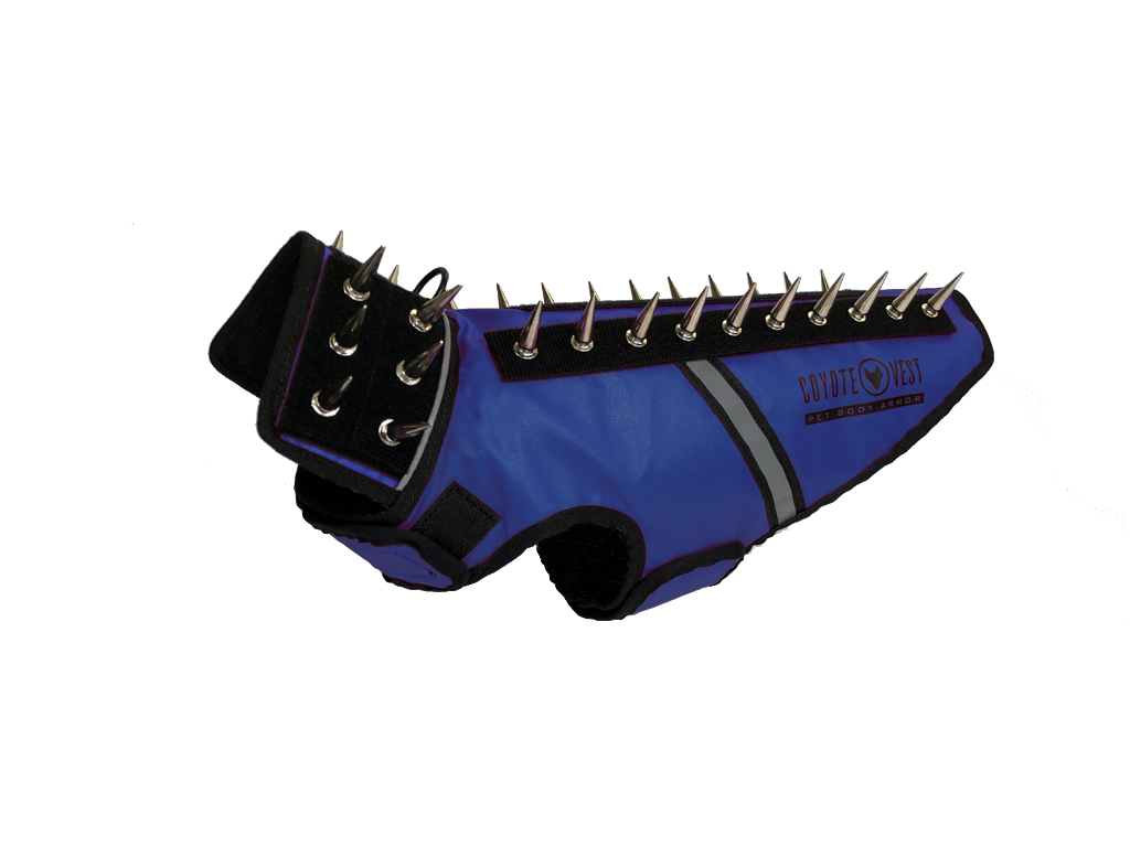 SpikeVest spiked coyote protection vest in royal blue, alternate view