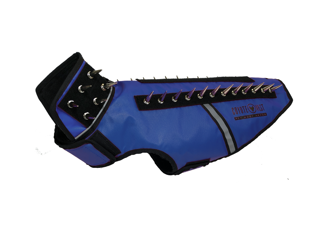SpikeVest spiked coyote protection vest in royal blue