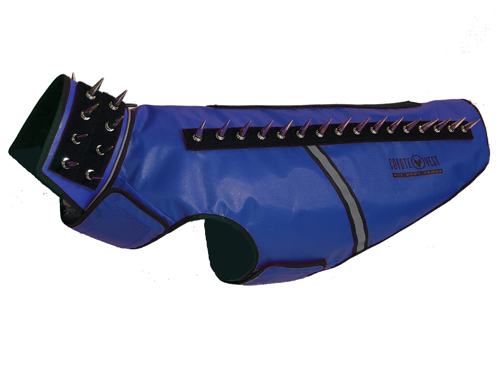 SpikeVest spiked coyote protection vest in royal blue, alternate view