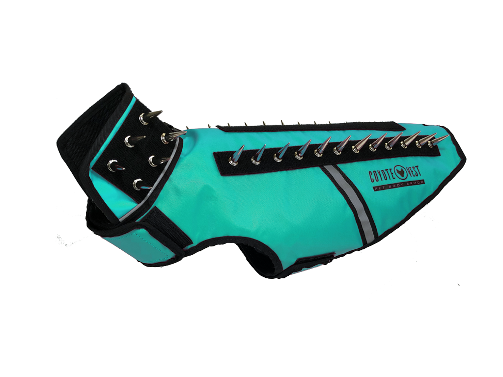 SpikeVest spiked coyote protection vest in turquoise