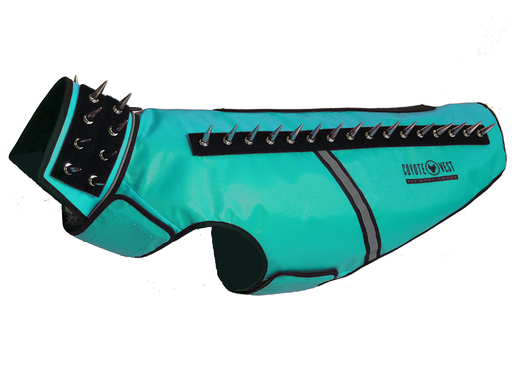 SpikeVest spiked coyote protection vest in turquoise, alternate view