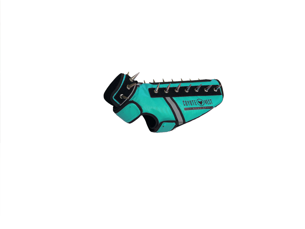 SpikeVest spiked coyote protection vest in turquoise, alternate view