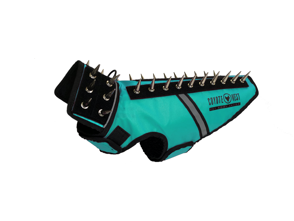 SpikeVest spiked coyote protection vest in turquoise, alternate view